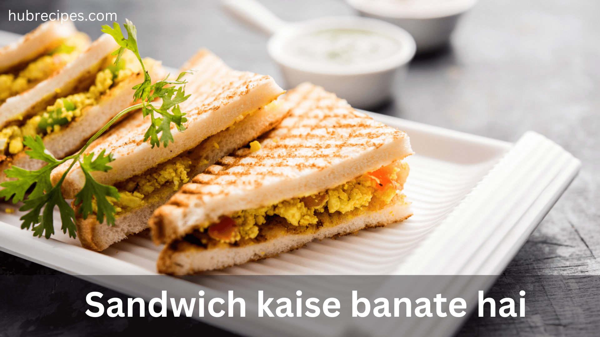 sandwich-recipe-in-hindi-hubrecipes