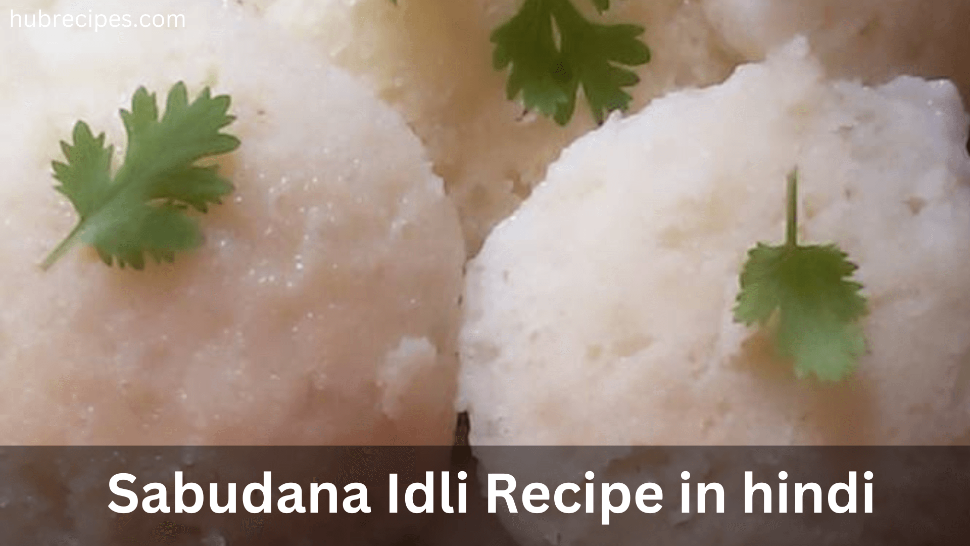 sabudana-idli-recipe-in-hindi